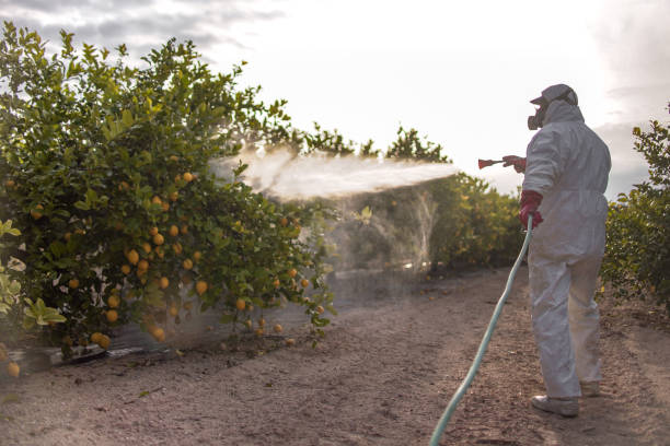 Best Fumigation Services  in Sweetwater, TX